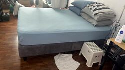 Eastwood Centre (D16), Apartment #449681841